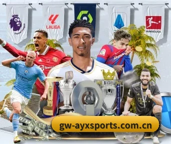 ayx官网入口 APP（AYXSPORTS）